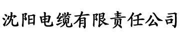 穿书游戏总是扮演日欠人设快穿电缆厂logo